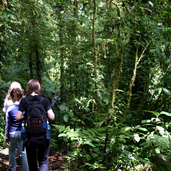 Yoga Retreat in Costa Rica