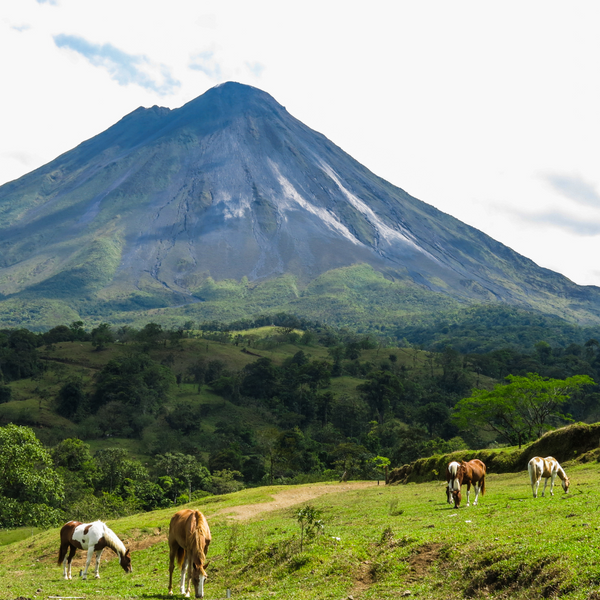 Yoga Retreat in Costa Rica